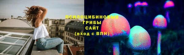 бошки Бородино