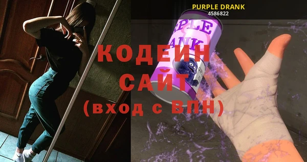 бошки Бородино