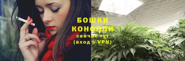 бошки Бородино