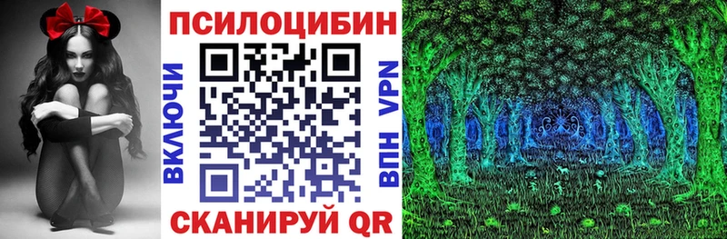 Галлюциногенные грибы мухоморы где можно купить наркотик Торжок
